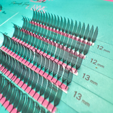 Anime Lash Fans